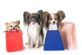 Picture for category Under $10